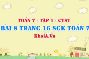 Bài 8 trang 16 SGK Toán 7 tập 1 Chân trời sáng tạo
